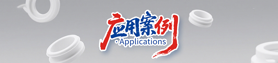 耐高溫、耐油PU密封件 (大型輸送帶用密圈)
